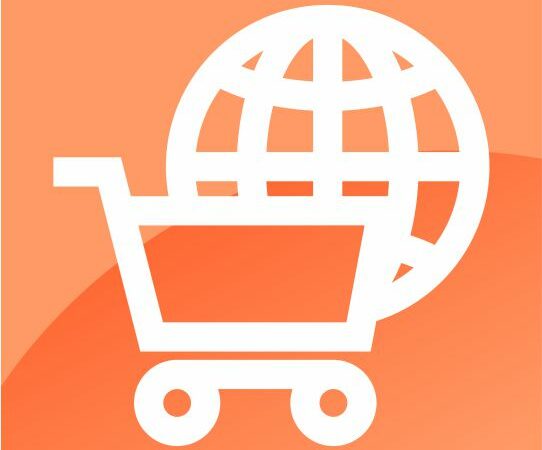 Basic Fundamentals of E-Commerce Course