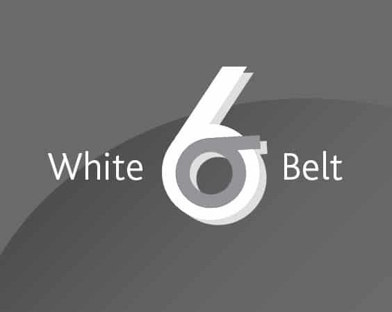 Six Sigma White Belt: Learn Six Sigma & Grow Your Potential