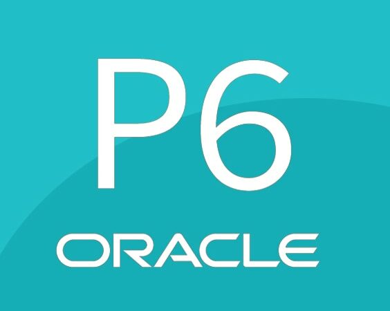 Primavera P6 Foundations Course (Beginner Course)